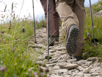 Wander-Wochen im Hochsauerland inkl. Vollpension