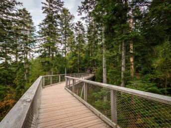 3 Tage - Gourmetwochenende im Teutoburger Wald inkl. 5-Gang Menü