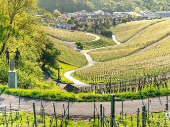 2 Tage in Weinstadt - Stuttgart, Ludwigsburg und Neckar erkunden