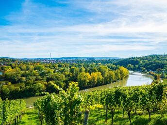 5 Tage in Weinstadt - erkunden Sie Stuttgart, Ludwigsburg und den Neckar