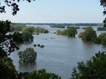 Gourmetträume -  Verwöhn-Auszeit in der Lüneburger Heide