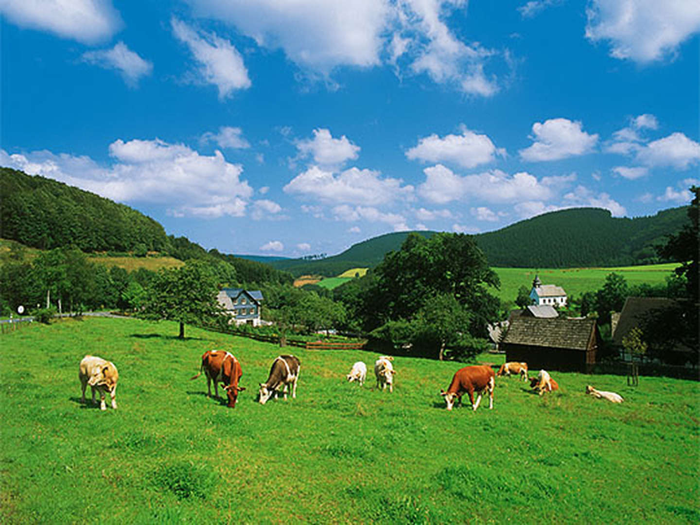 Ein Wanderwochenende im Sauerland inkl. SauerlandCard 