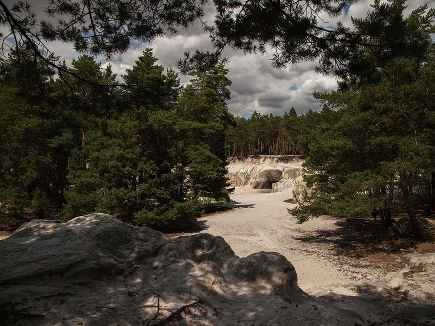 Das ist Wanderbar - Wandern im Harz