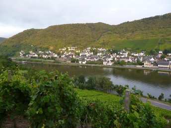 5 Tage Bett & Bike - Radtour an der Mosel inkl. Leihfahrrad für einen Tag