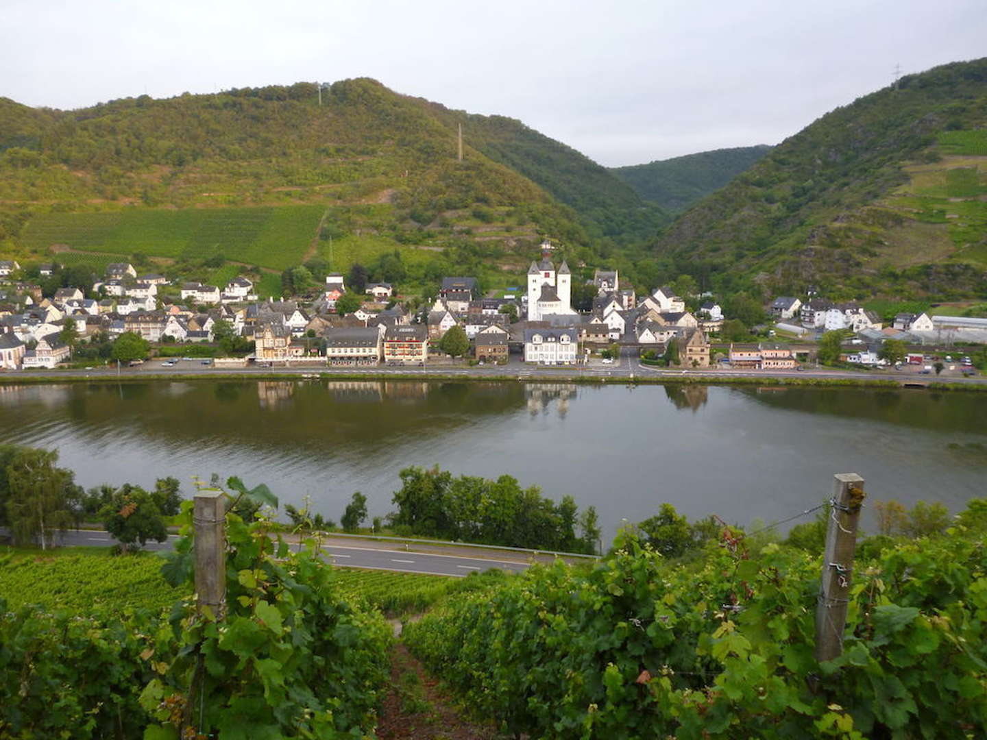 5 Tage Bett & Bike - Radtour an der Mosel inkl. Leihfahrrad für einen Tag