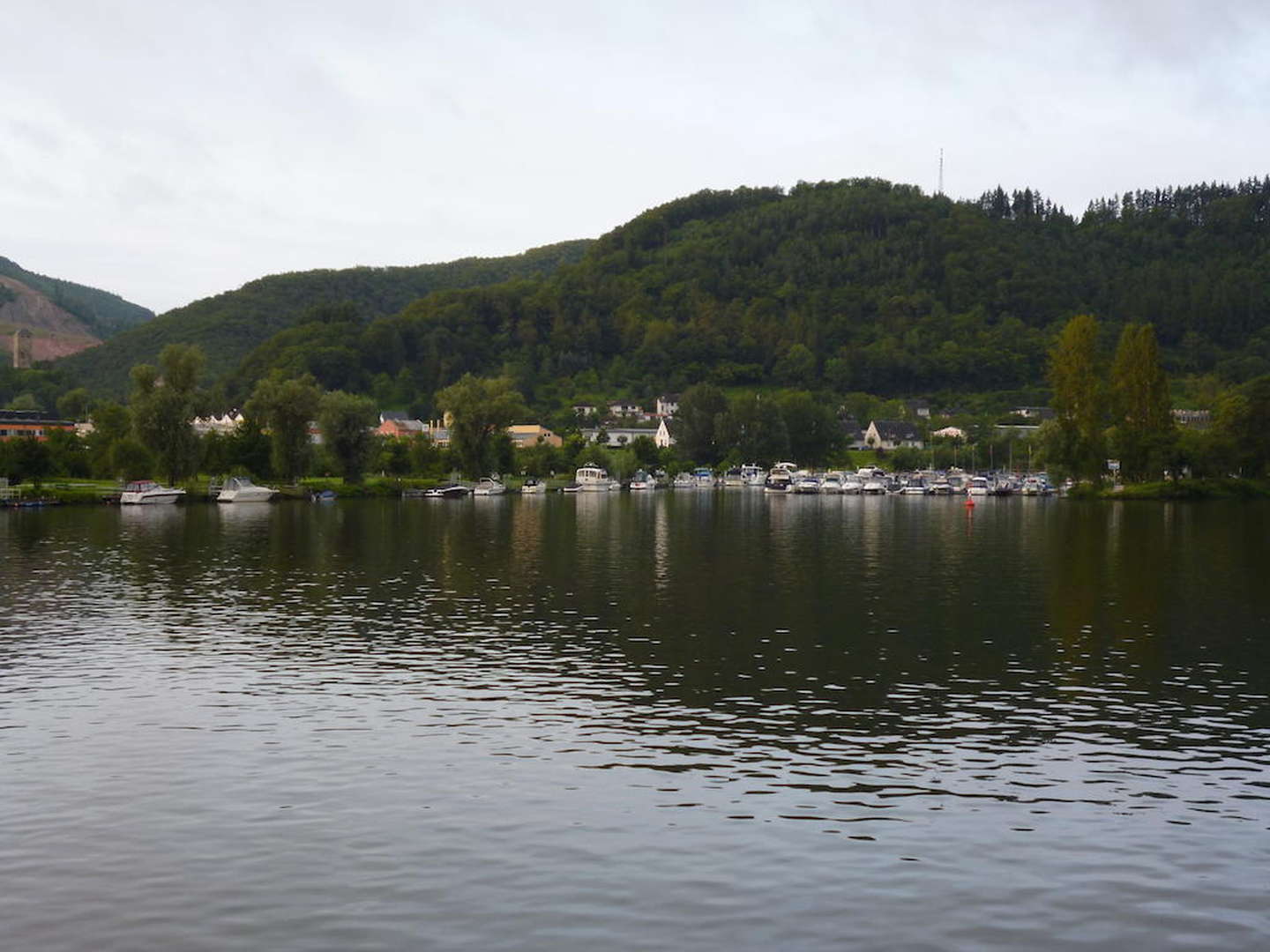 4 Tage Bett & Bike - Radtour an der Mosel inkl. Leihfahrrad für einen Tag