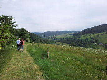 3 Tage - Auszeit im Naturhotel Lindenhof im Erzgebirge 