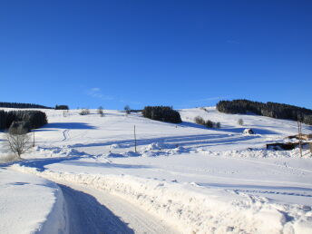 Kurzurlaub im Naturhotel Lindenhof im Erzgebirge inkl. Halbpension 