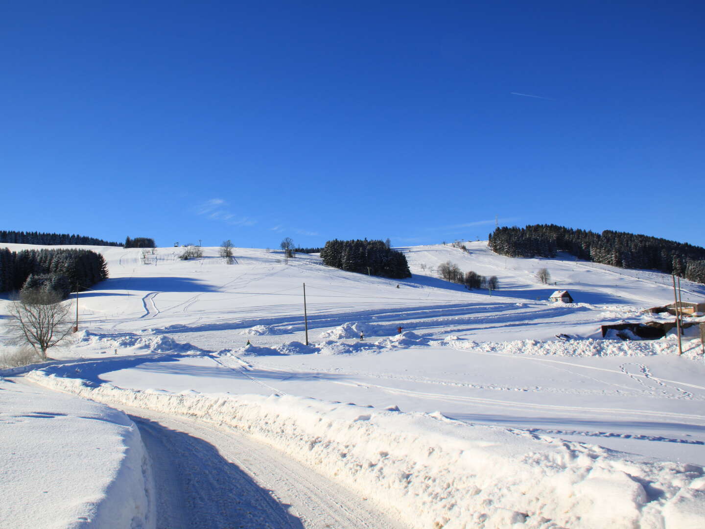 4 Tage - Auszeit im Naturhotel Lindenhof im Erzgebirge  