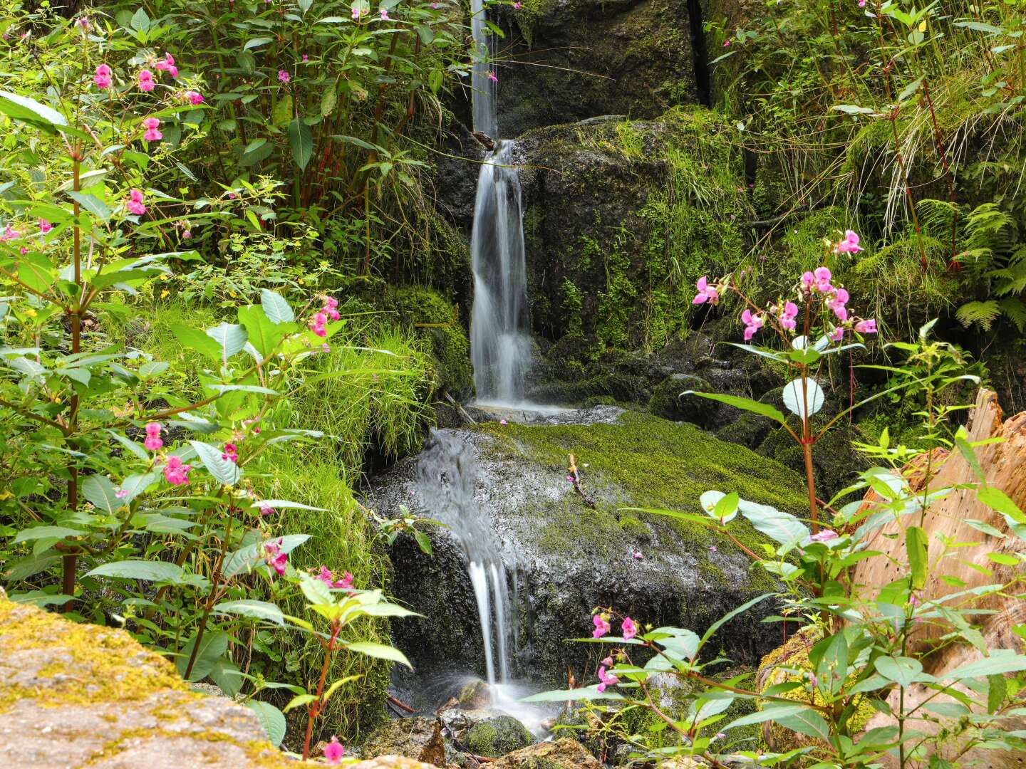 6 Tage - Entspannen im Naturhotel Lindenhof im Erzgebirge   