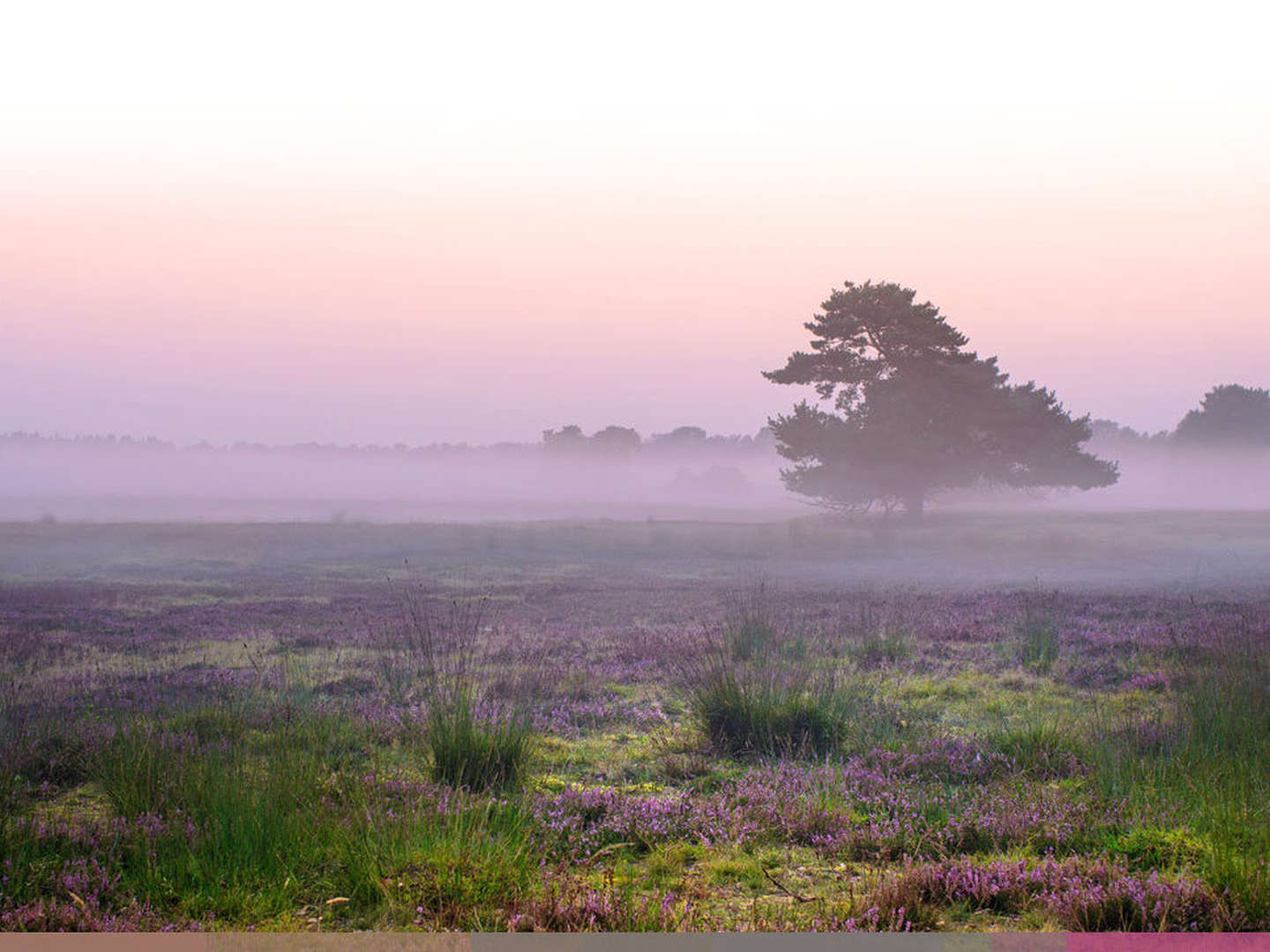 Auszeit in der Lüneburger Heide 