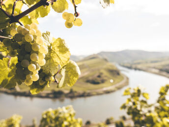 Wellness-Tage an der Mosel inkl. HP, Massage und Weinpräsent