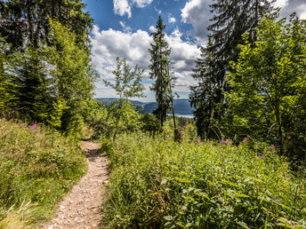 4 Tage Auszeit mit Ihren Kids - Kugelwaldpfad Birkendorf erleben