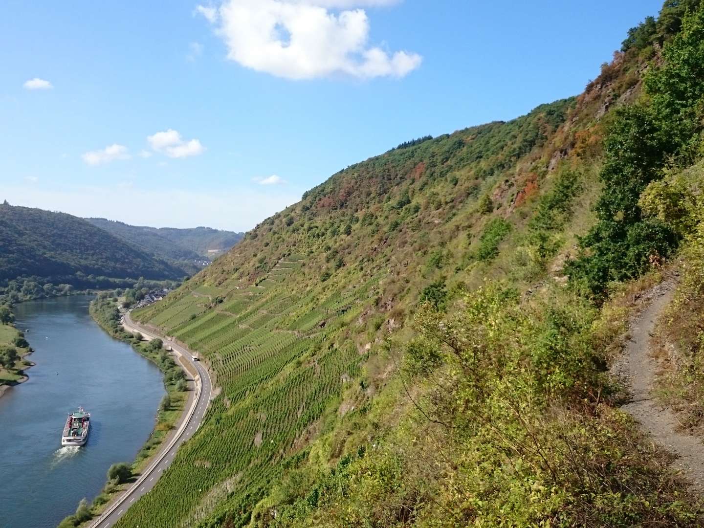 Entspannte Wochentage im Herbst an der Mosel (3 Übernachtungen)