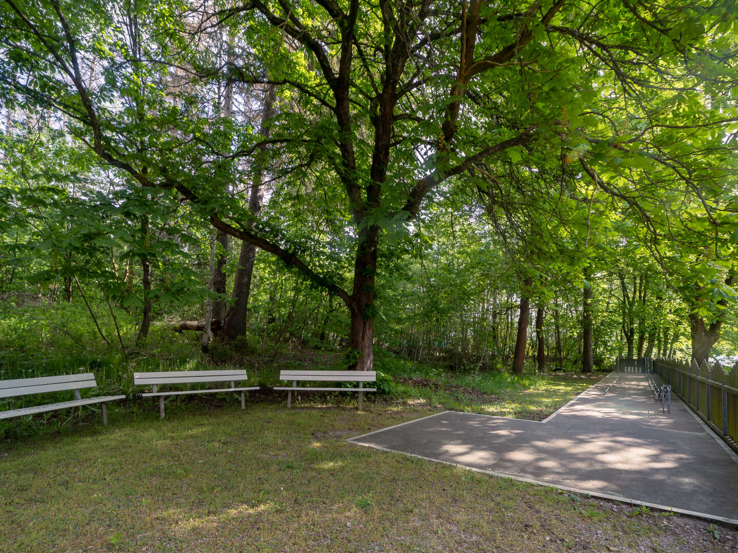 Erlebnisurlaub im Naturpark Harz - 3 Tage inkl. Halbpension