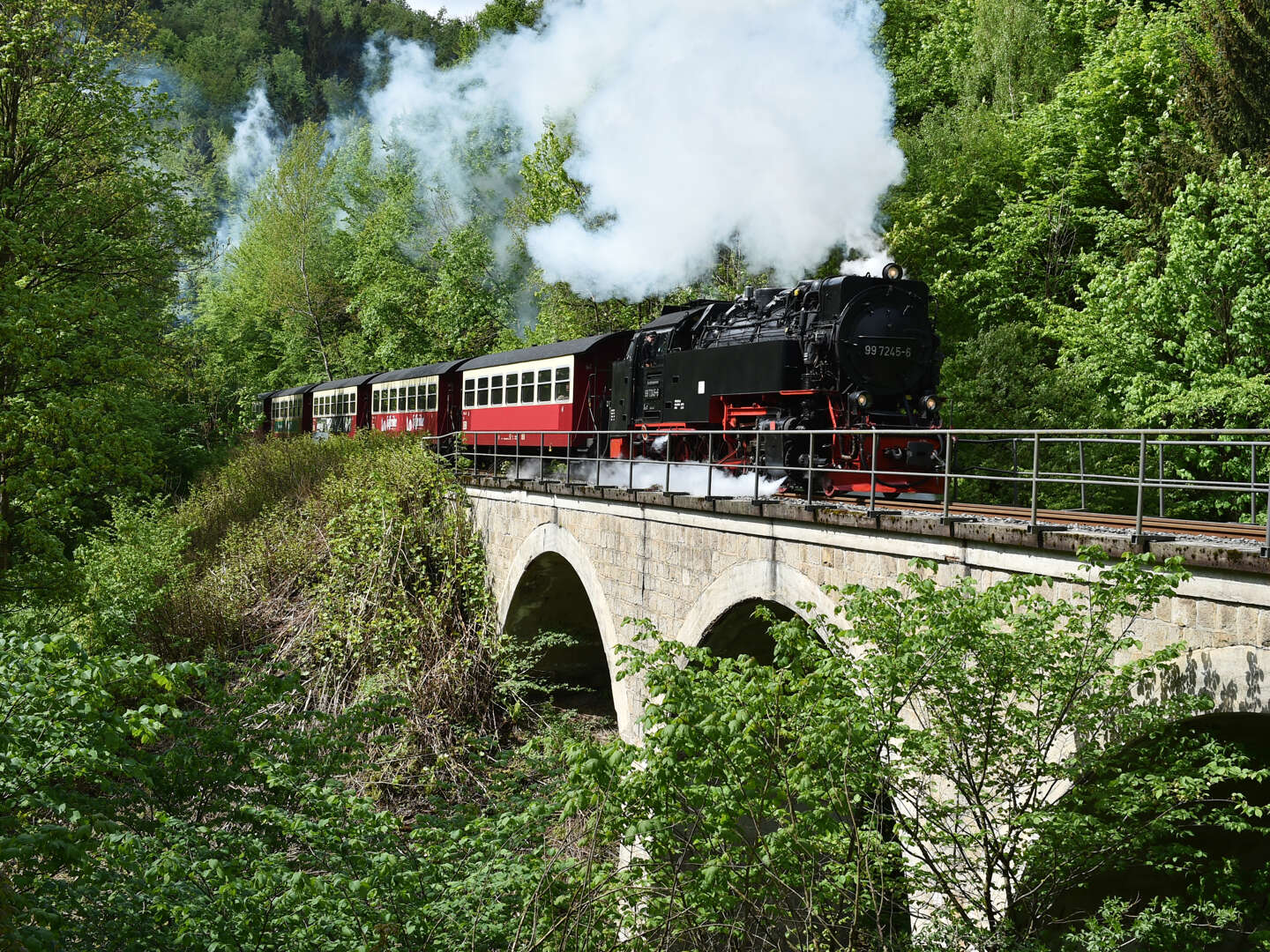 Erlebnisurlaub im Naturpark Harz - 2 Tage