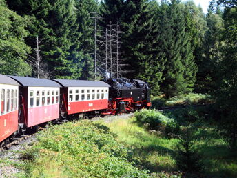 Familien Auszeit im Harz - 4 Urlaubstage gemeinsam genießen inkl. Halbpension