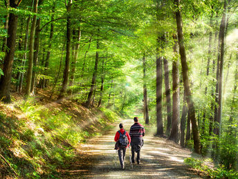 Der Harz zum Kennenlernen - 8 Tage inkl. Halbpension