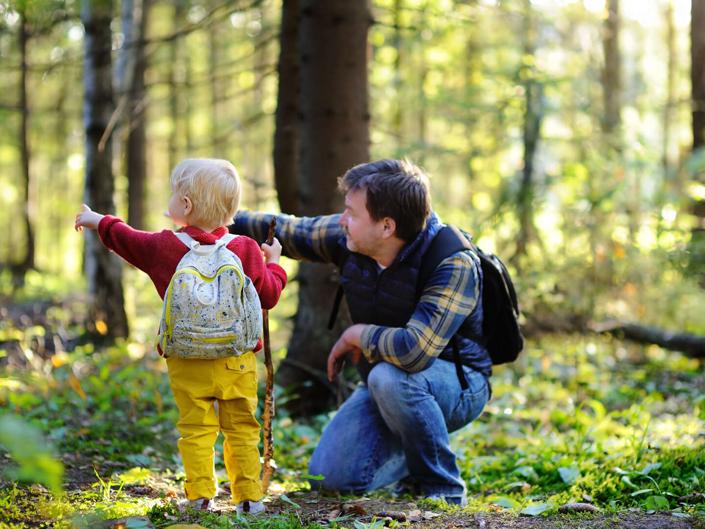 Familien Auszeit im Harz - 4 Urlaubstage gemeinsam genießen inkl. Halbpension