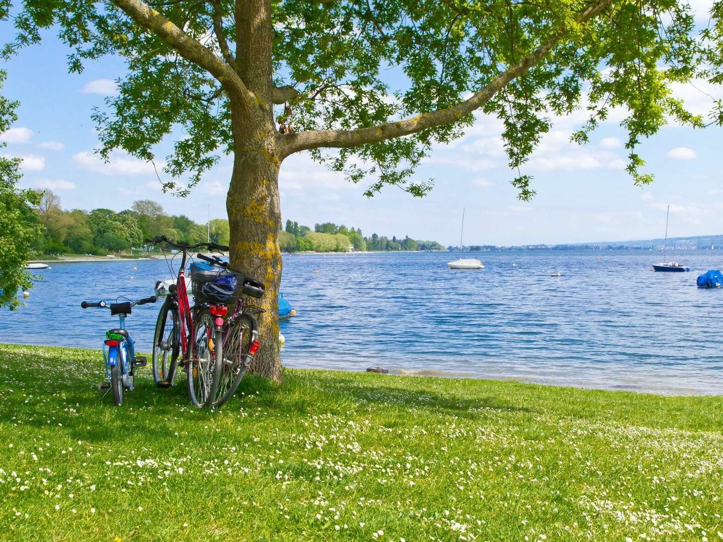 Burgabenteuer für Groß und Klein am Bodensee| 5 Tage