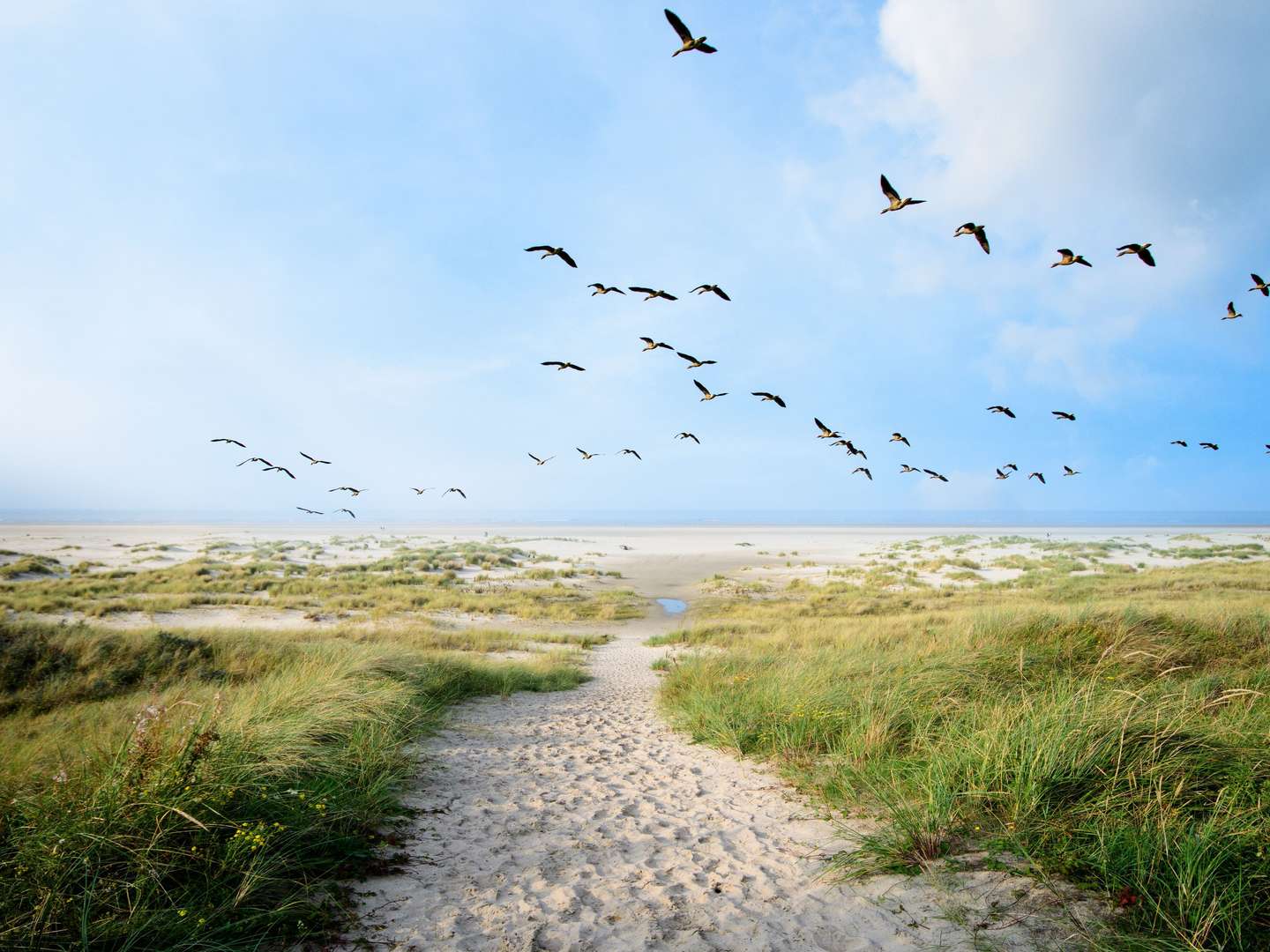 moin an der Nordsee - 3 Tage in Ostfriesland inkl. Abendessen