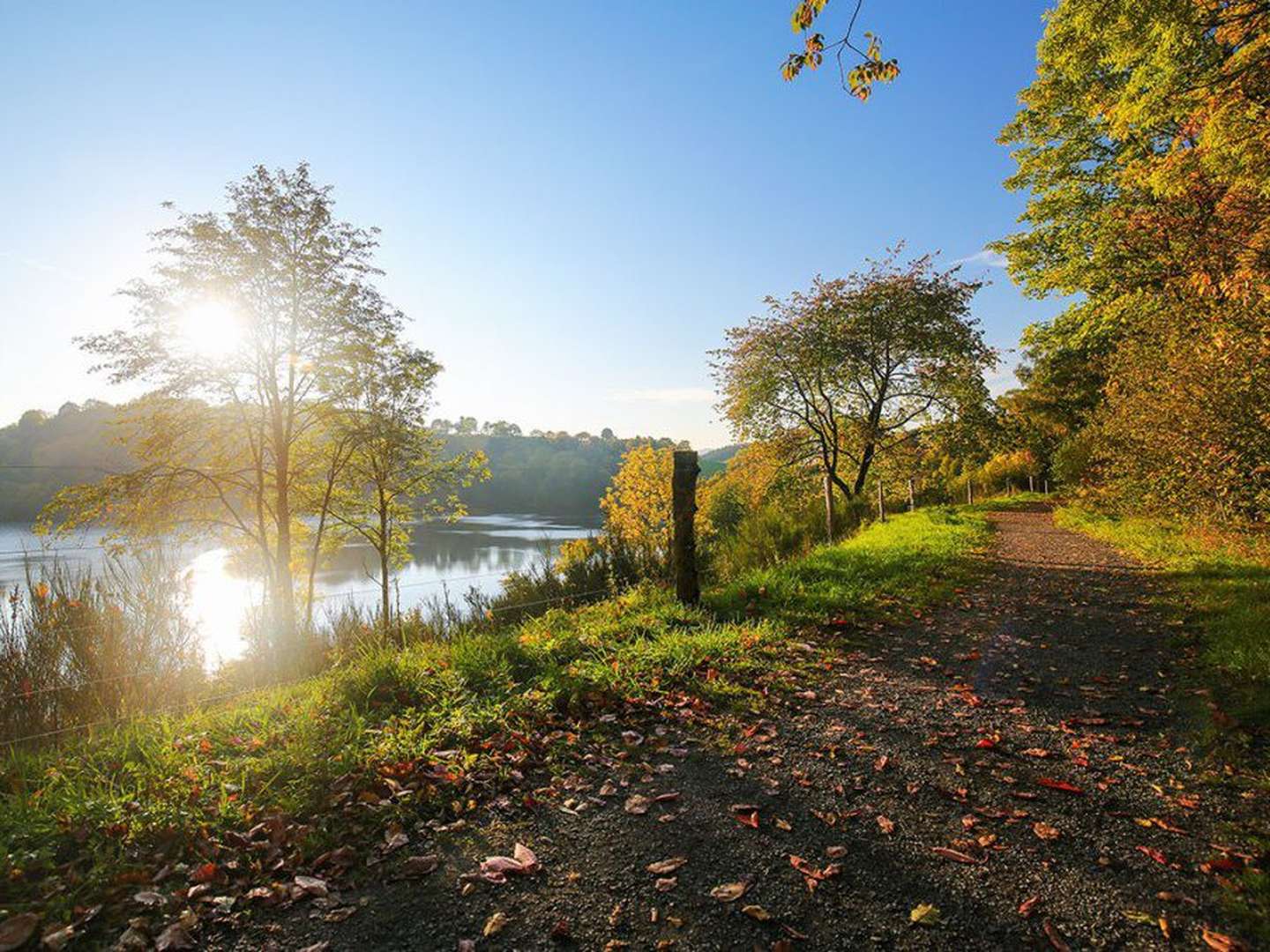 Kennlern-Arrangement an der Mosel | 3 Nächte