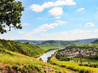 Wander Arrangement an der Mosel