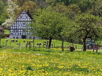 3 Romantische Tage am Kahlen Asten - inkl. 4 Gang Menü   2