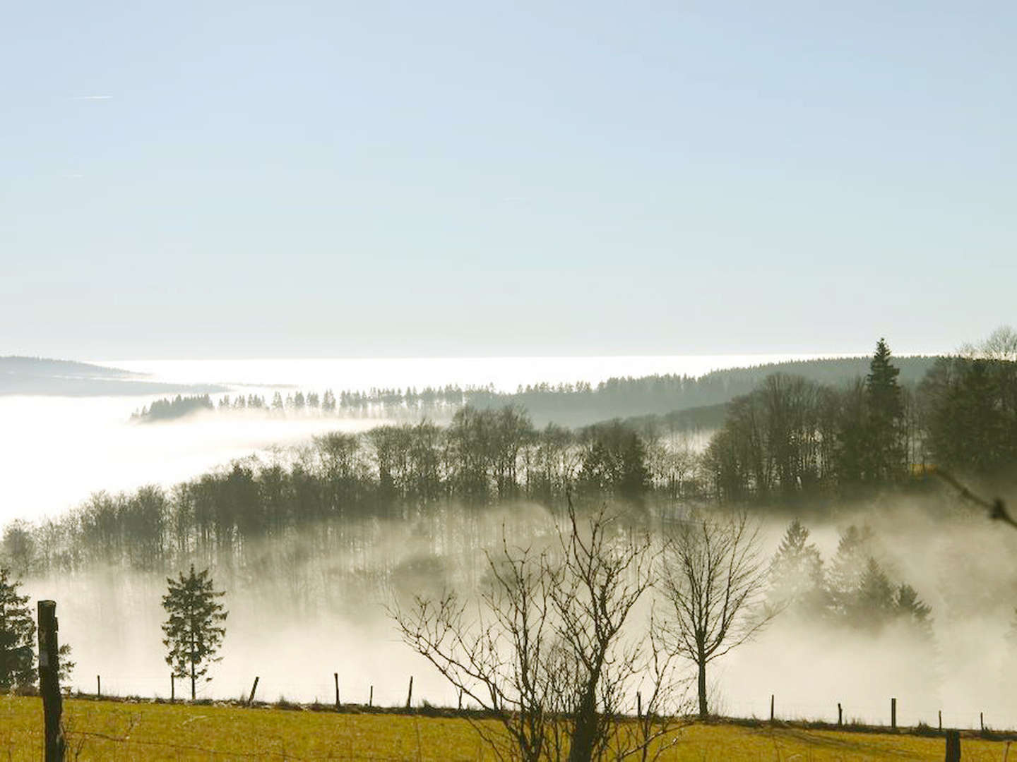 7 Tage | Wanderurlaub in Winterberg - inkl. 4 Gang Menü