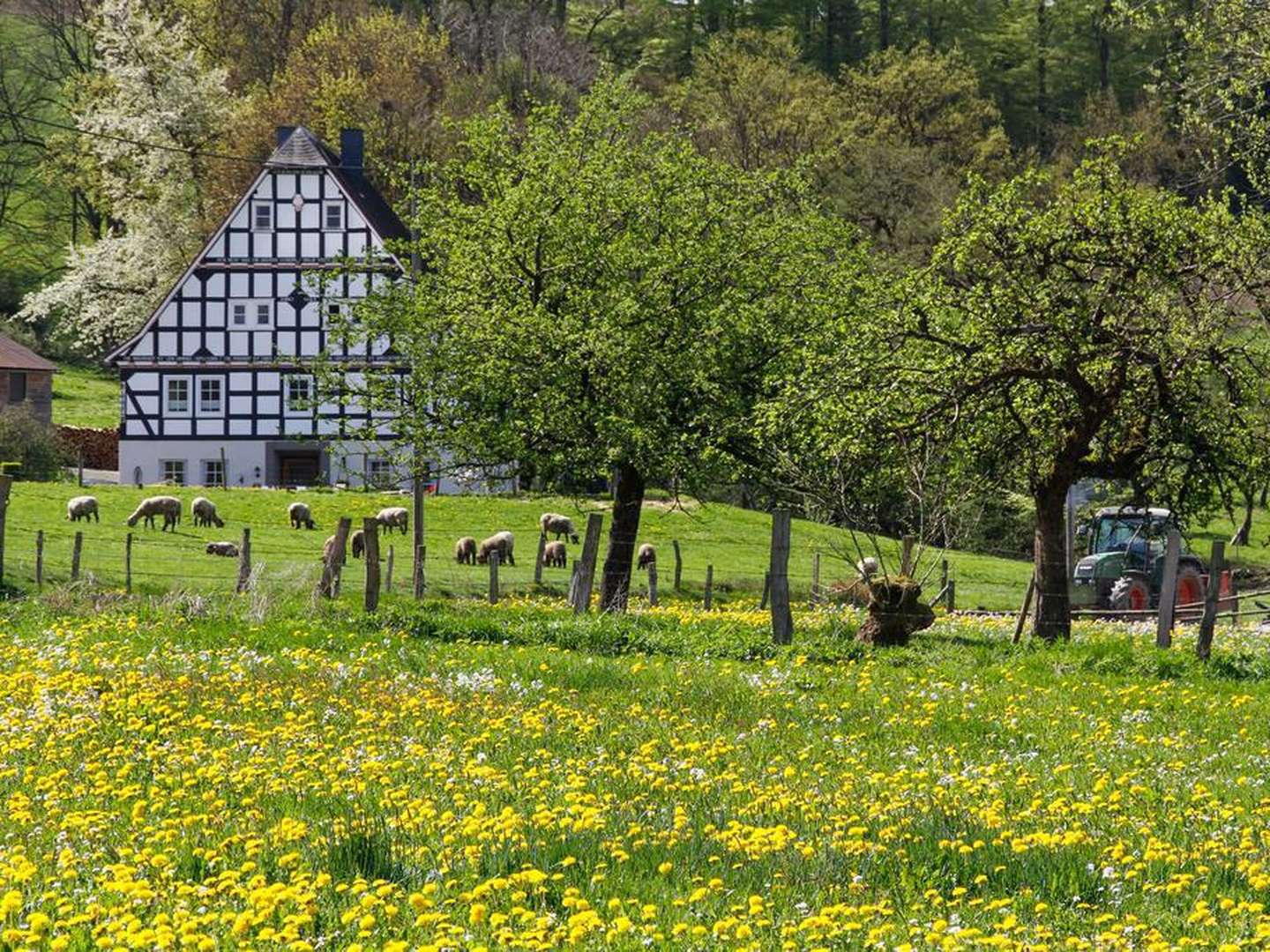 3 Romantische Tage am Kahlen Asten - inkl. 4 Gang Menü   2