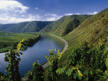 Kurzurlaub beim Winzer an der Mosel inkl. Gästeticket und Weinprobe 2