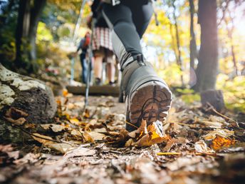 Herbst - Spezial beim Moselwinzer