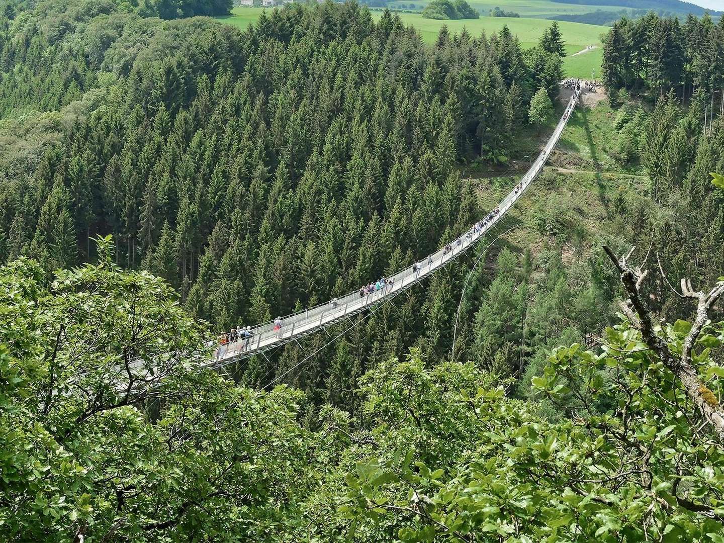 Herbst - Spezial beim Moselwinzer