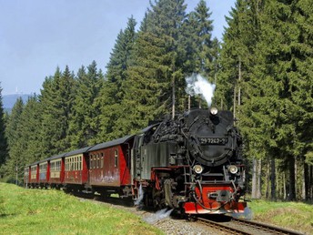 4 Tage Natur pur im Oberharz inkl. Bahnfahrt auf den Brocken inkl. Halbpension