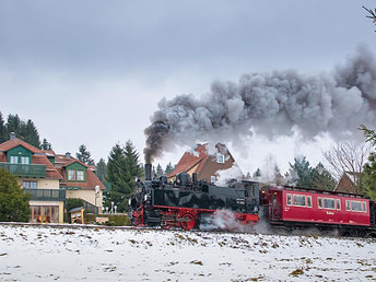 6 Tage Natur pur im Oberharz inkl. Bahnfahrt auf den Brocken & HP - Ferienwohnung  