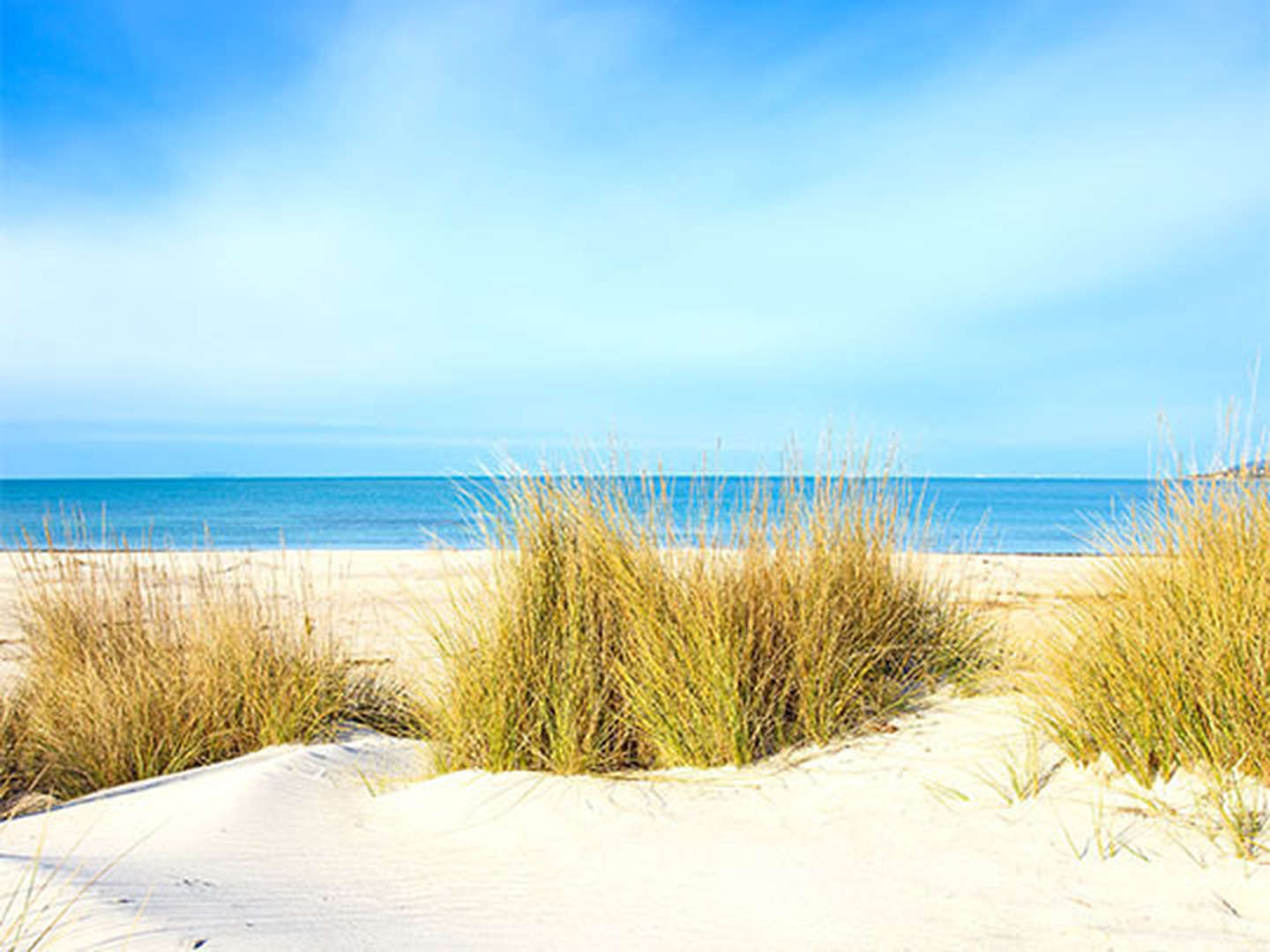 Geheimtipp Trassenheide, 3 Tage ganz nah am Strand