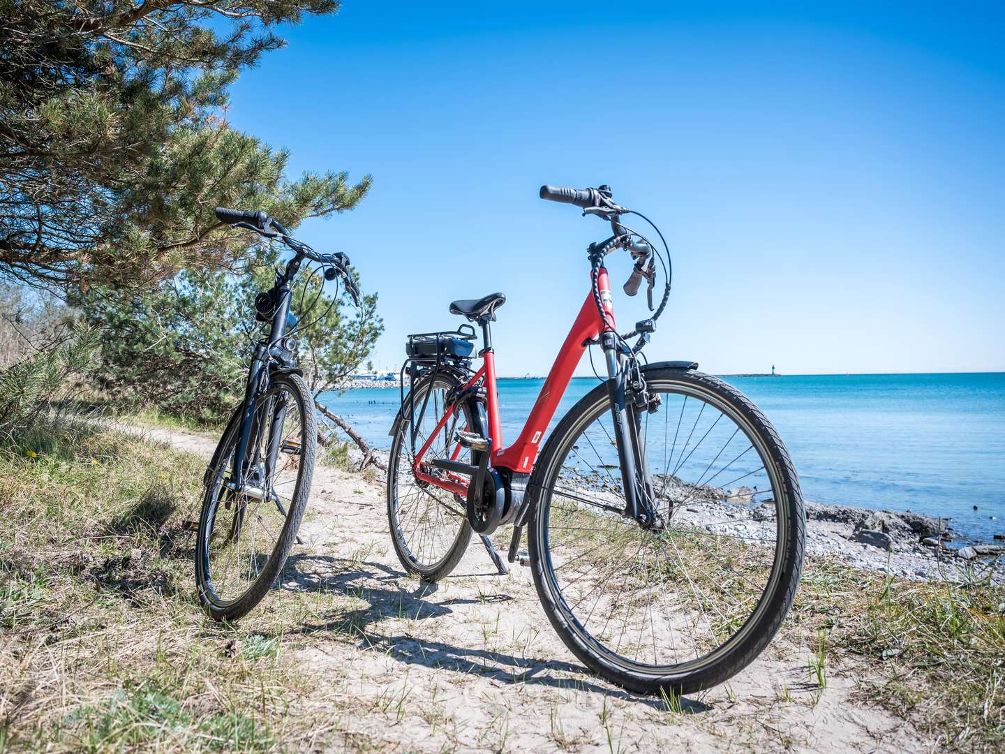 Urlaub mit Ihrem Hund - 3 entspannte Tage mit Ihrem Vierbeiner auf der Insel Rügen