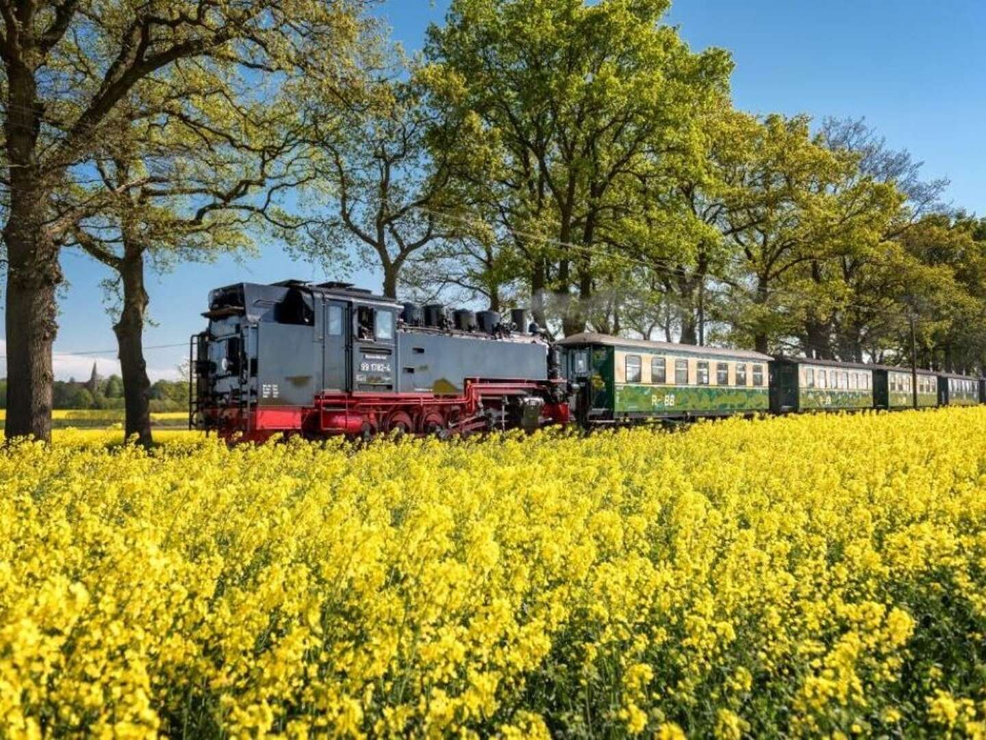 Erholung Pur im Sommer auf Rügen