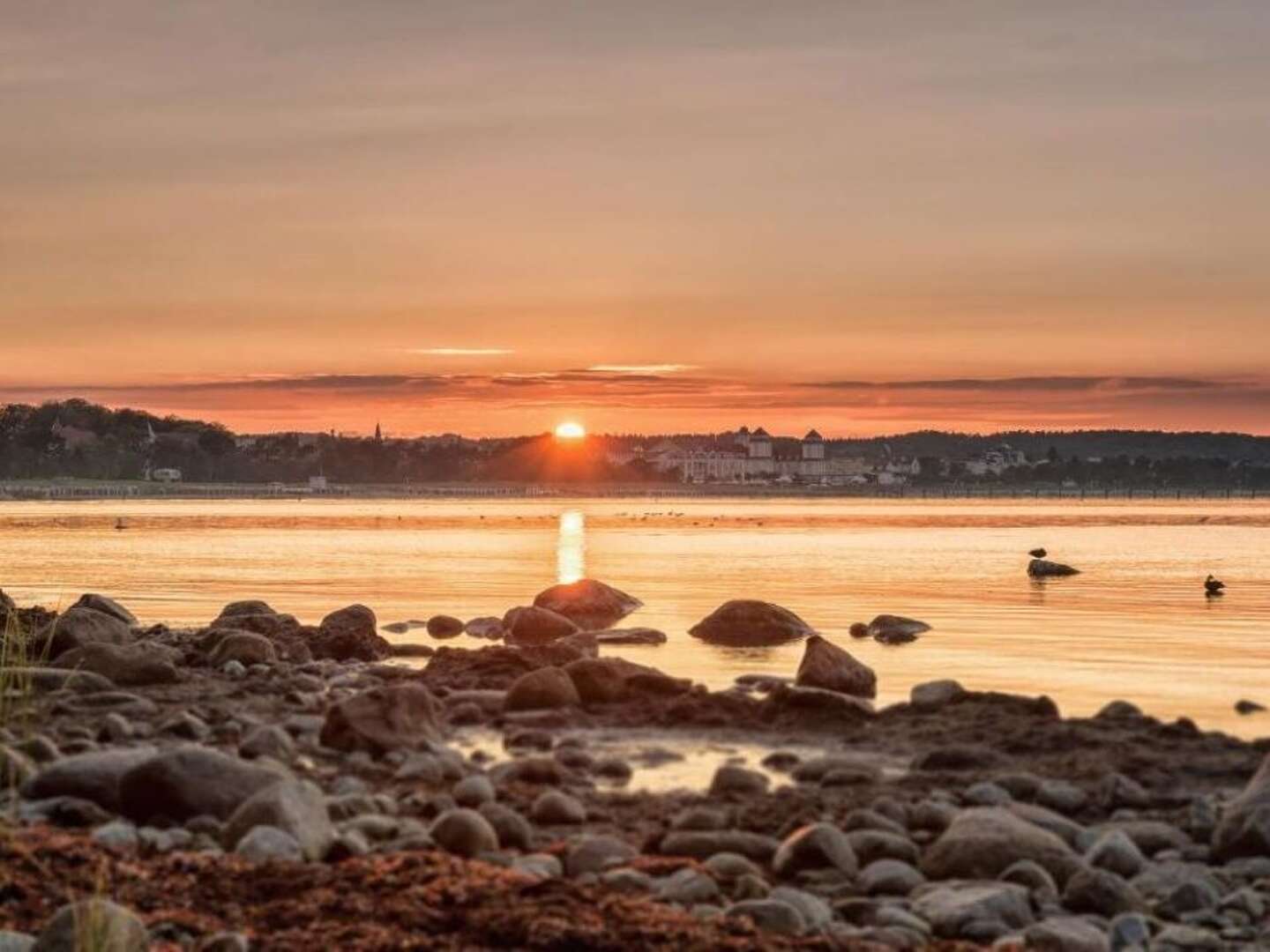 Ostseeurlaub auf Rügen zum erholen inkl. Halbpension