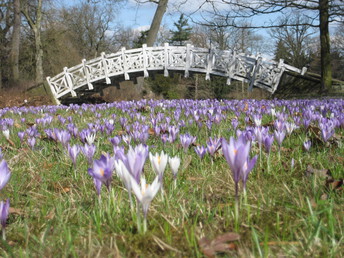 Ostern - Ihr Kurzurlaub in den Gärten von Wörlitz - Dessau