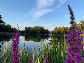 Erster Advent im Gartenreich Dessau-Wörlitz