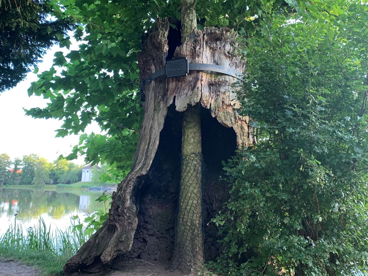 Schnäppchen-Schnuppertag im romantischen Wörlitzer Park 