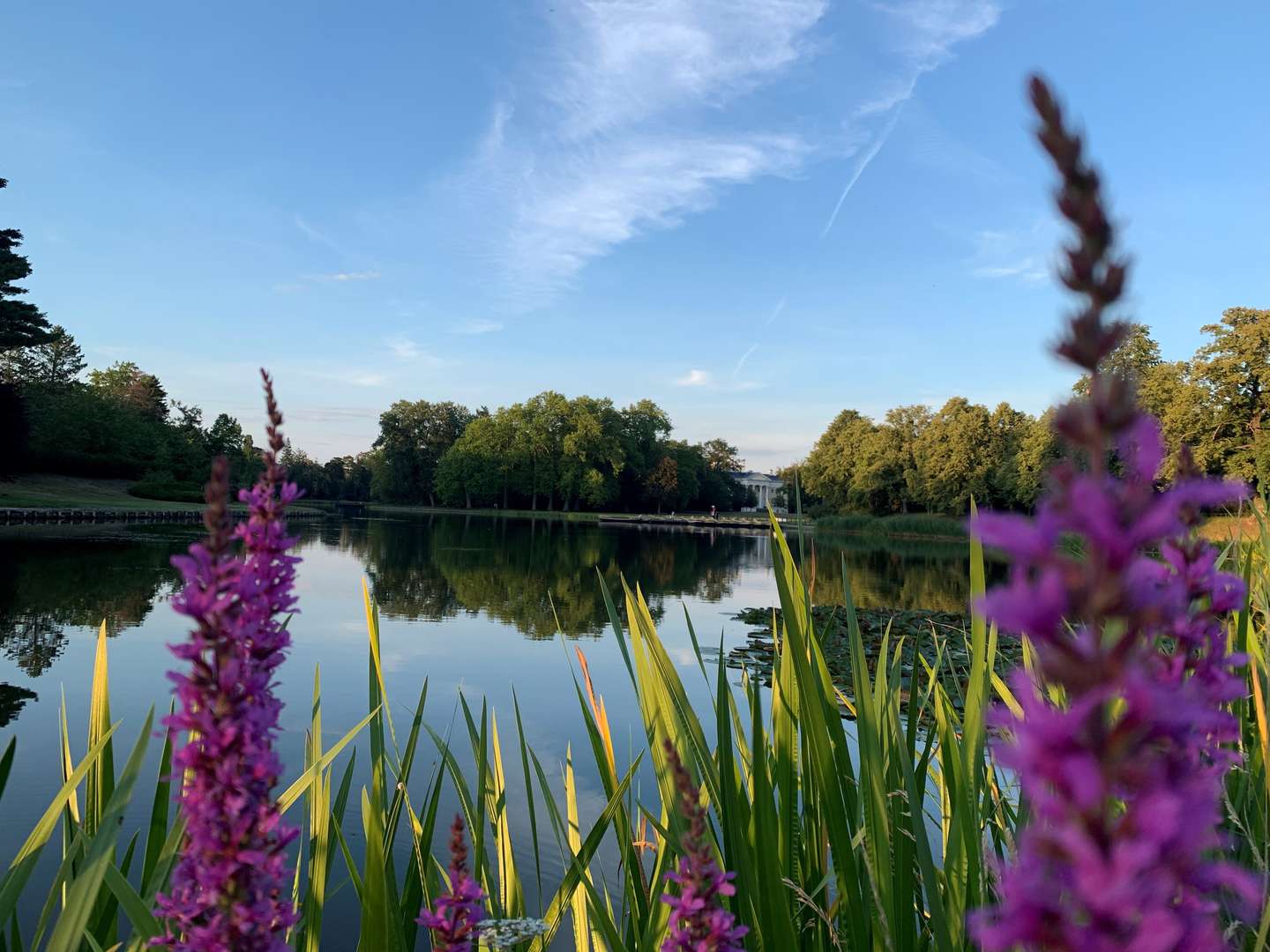 Herbstliche GenussZeit & Seelenwellness