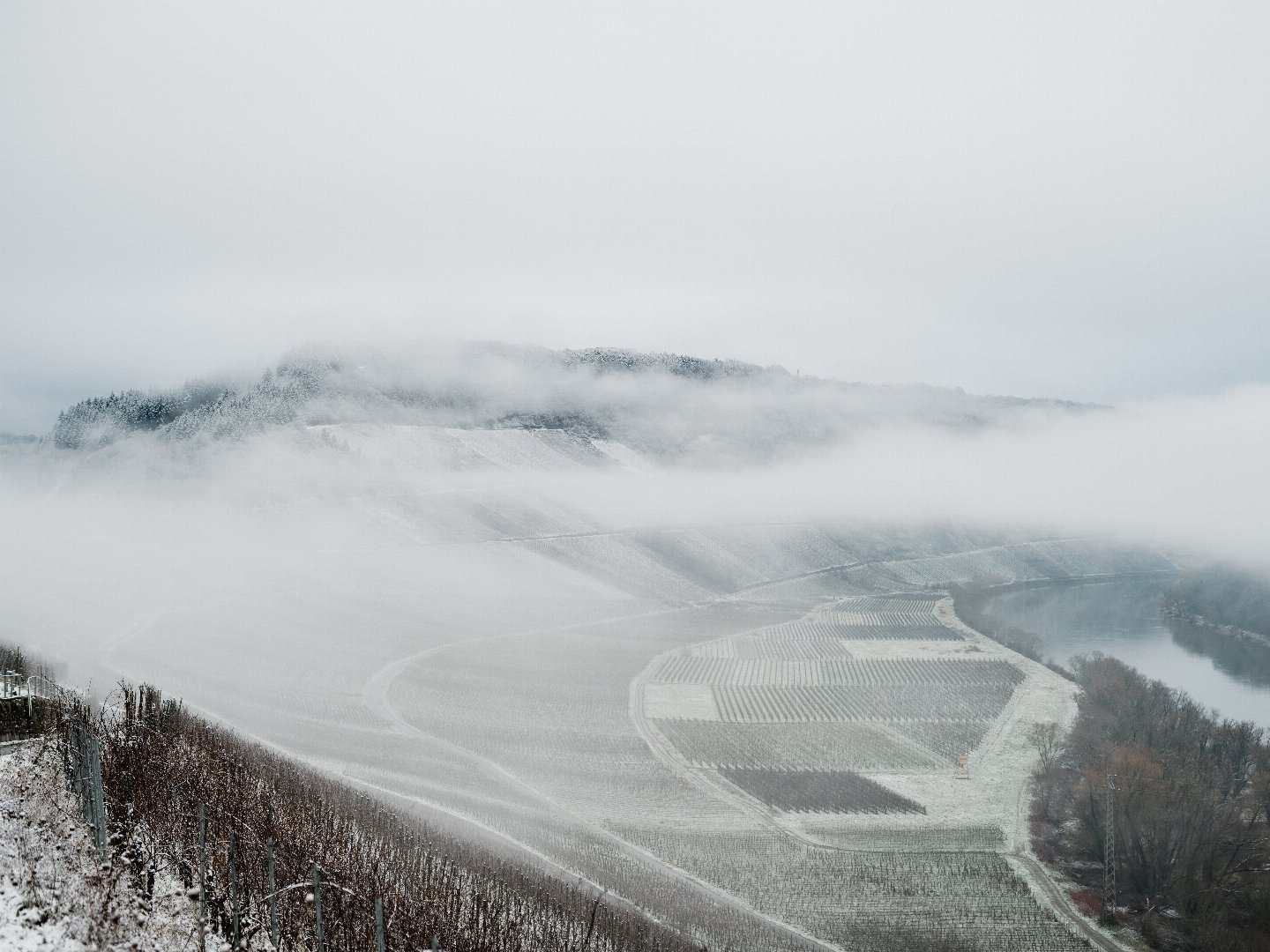 Entspannte Herbsttage an der Mosel | 5 Tage