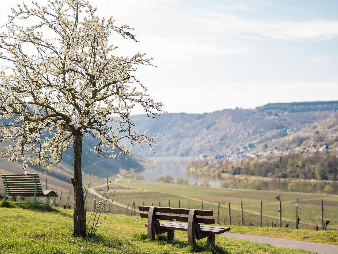 Entspannte Herbsttage an der Mosel | 5 Tage