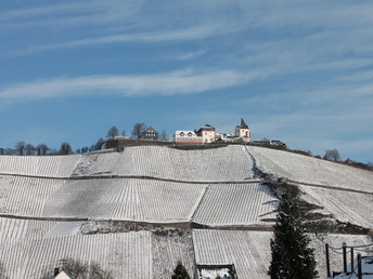 Moseltraumurlaub im Sommer 2024