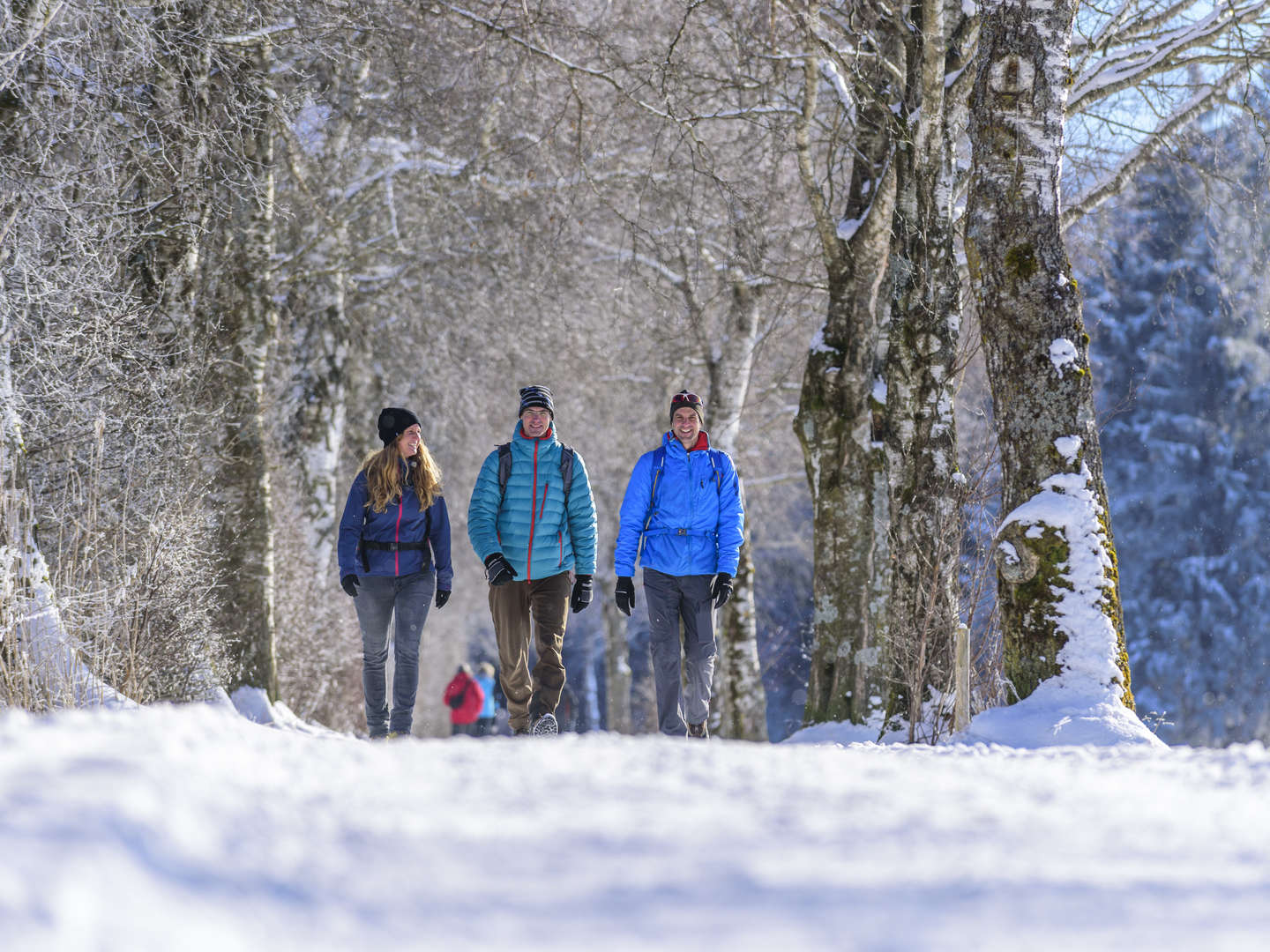 Winterurlaub an der Mosel 4 Tage inkl. 4-Gang Genuss-Menü