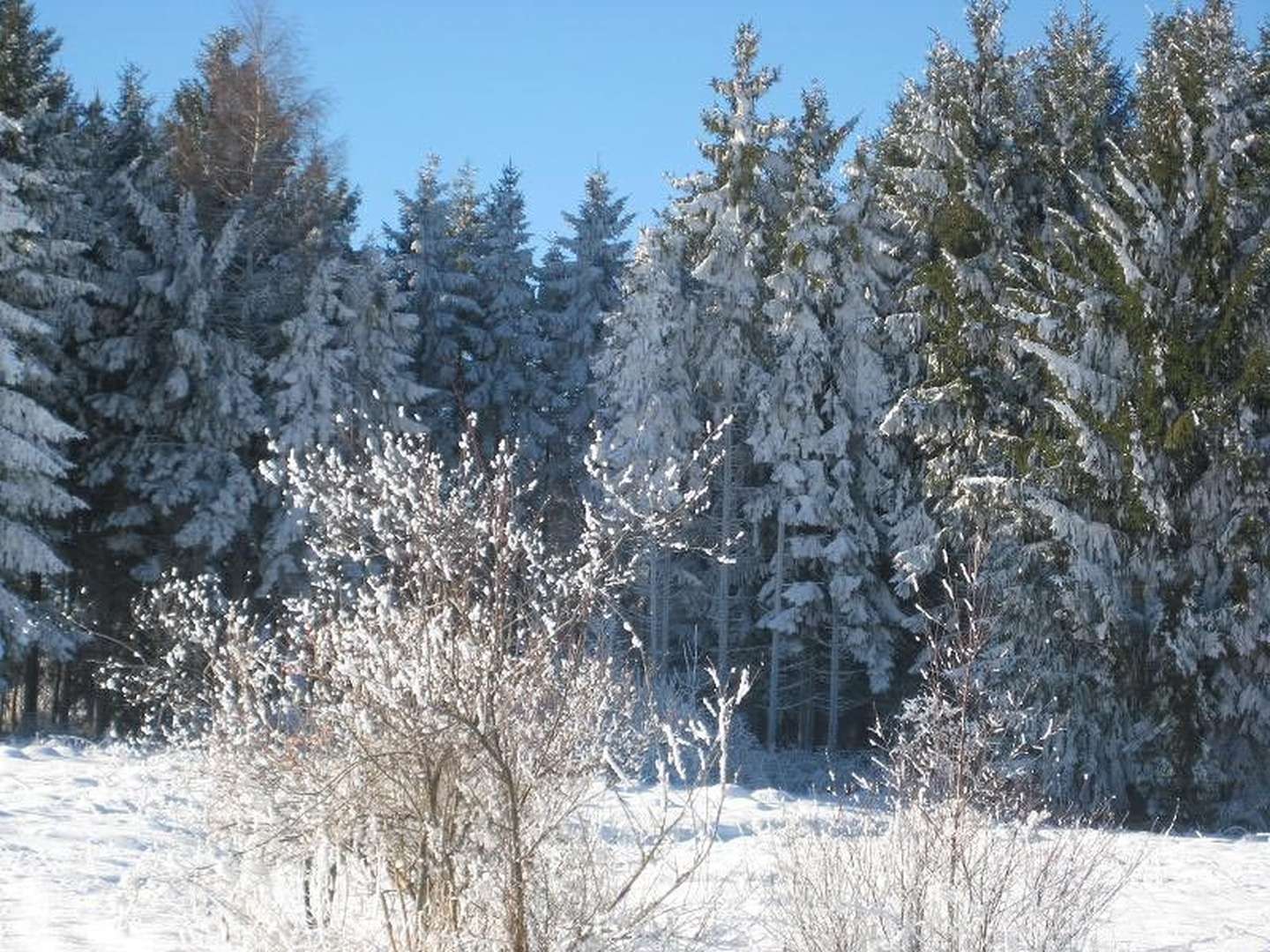 Die Mosel erleben 3 Tage inkl. 4-Gang Genuss-Menü 2024