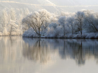 Winterurlaub an der Mosel 4 Tage inkl. 4-Gang Genuss-Menü