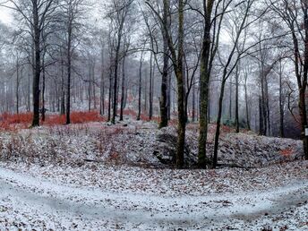 Wandern & Erleben!  Winterberg